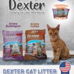 pasir kucing dexter