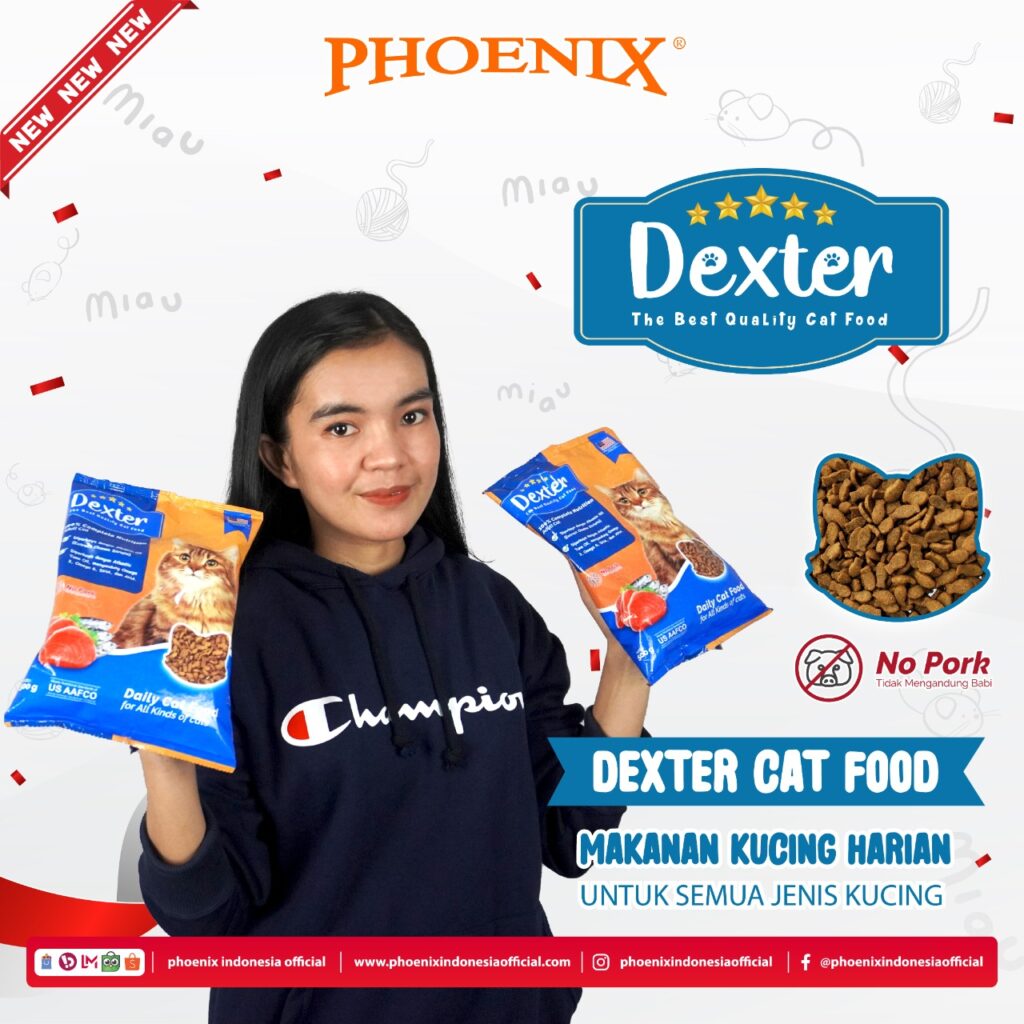 manfaat albumin oil untuk kucing