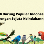 10 Burung Populer Indonesia