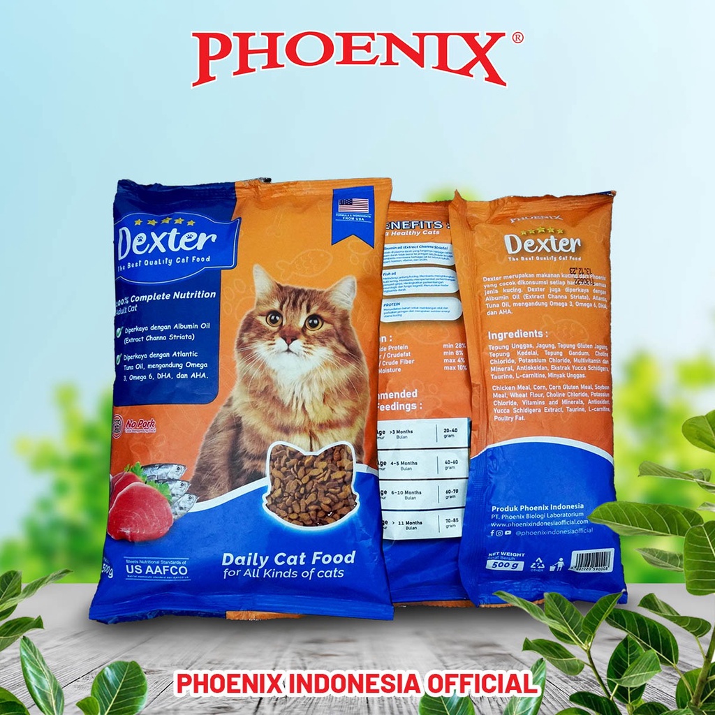 Jenis Kucing Jalanan