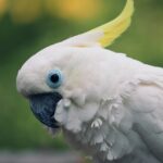 8 Fakta Menarik