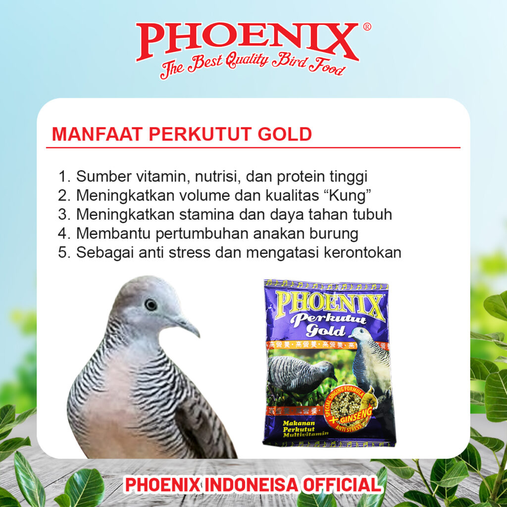 8 Tips Burung Perkututmu